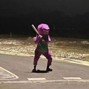 Meet your Posher, Destiny